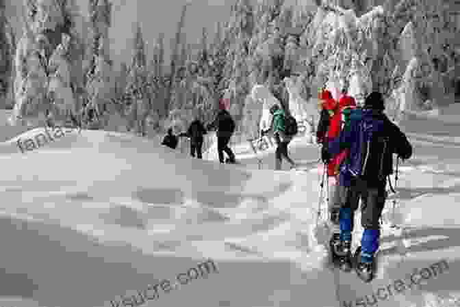 A Person Snowshoeing Through A Snowy Forest. Cold: Adventures In The World S Frozen Places