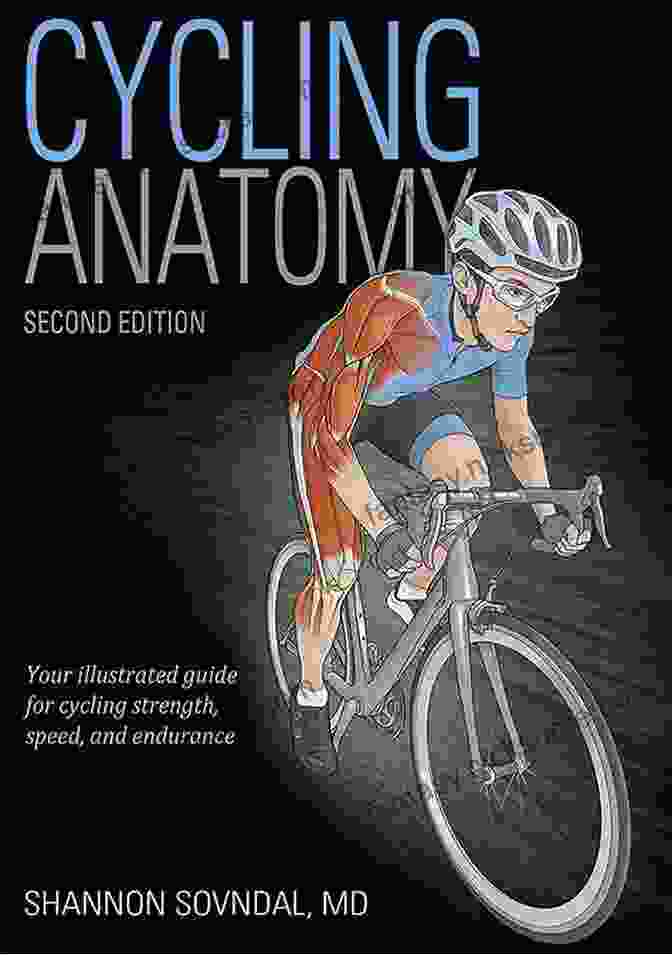 Cycling Anatomy Diagram Cycling Anatomy Shannon Sovndal