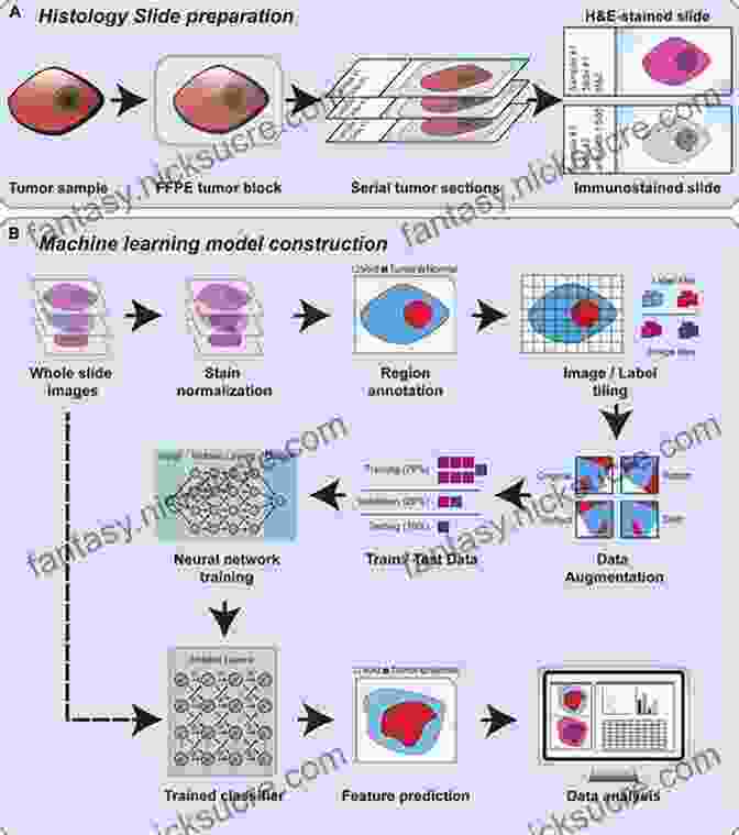 Deep Learning Applied To Microscopy For Automated Image Analysis, Cell Classification, And Disease Diagnosis Deep Learning For The Life Sciences: Applying Deep Learning To Genomics Microscopy Drug Discovery And More