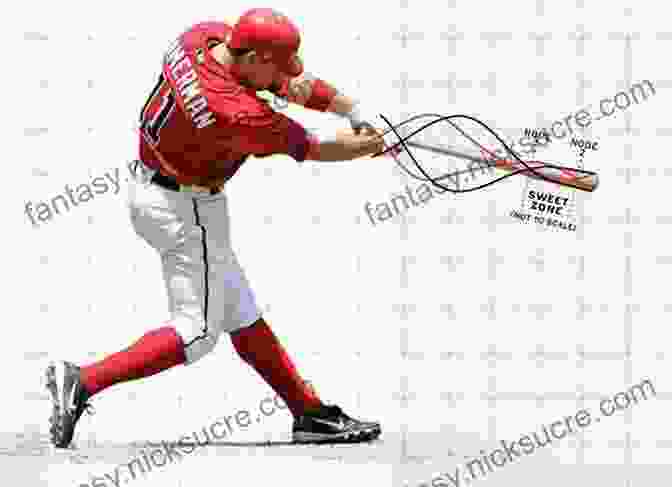 Illustration Of The Sweet Spot On A Baseball Bat The Big Of Hitting The Ball: Key Batting Techniques And Things You Should Know About Hitting