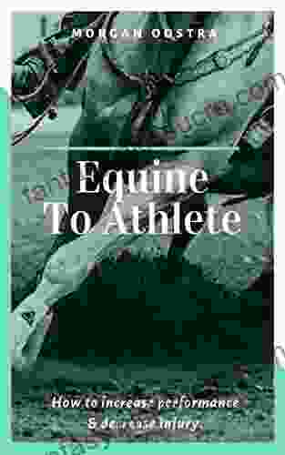 Equine To Athlete: How To Increase Performance And Decrease Injury