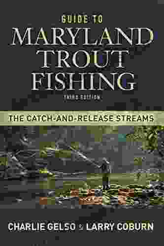Guide To Maryland Trout Fishing: The Catch And Release Streams