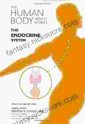 The Endocrine System (Human Body: How It Works)