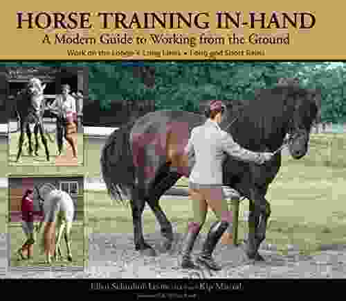 Horse Training In Hand: A Modern Guide To Working From The Ground