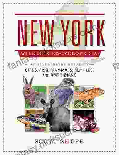 The New York Wildlife Encyclopedia: An Illustrated Guide To Birds Fish Mammals Reptiles And Amphibians